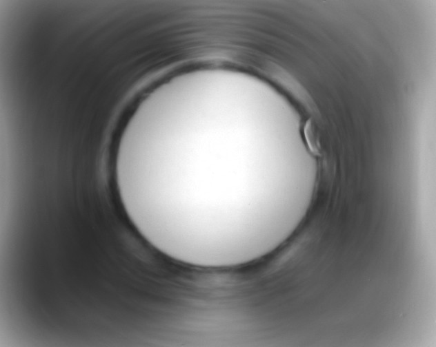 X0000088151020200706041351