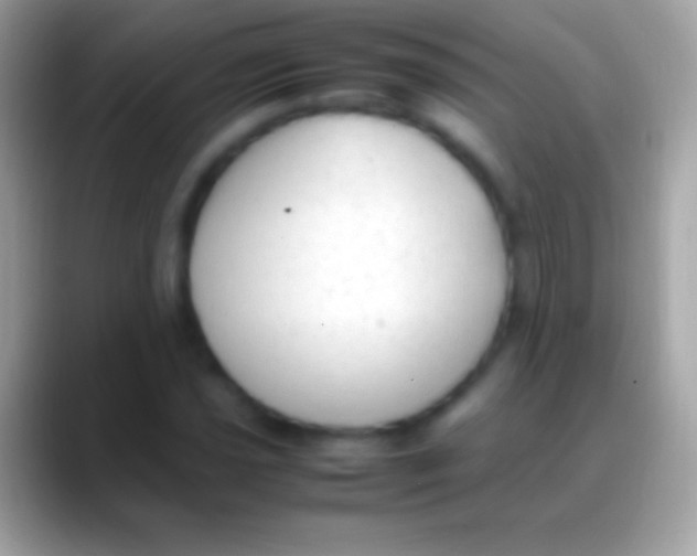 X0000088151021200706041351