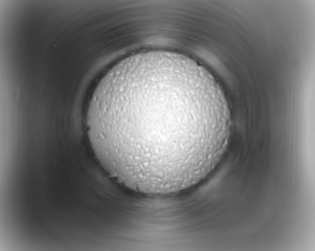 X0000088151022200706041351