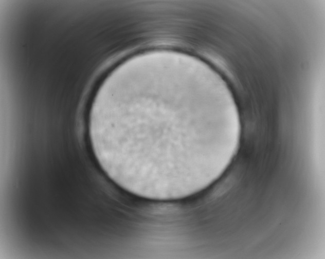 X0000088151024200706041351