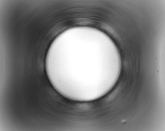 X0000088151025200706041351