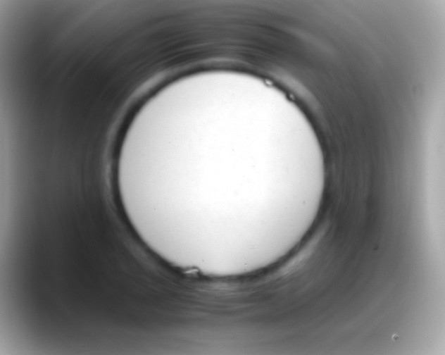 X0000088151029200706041351