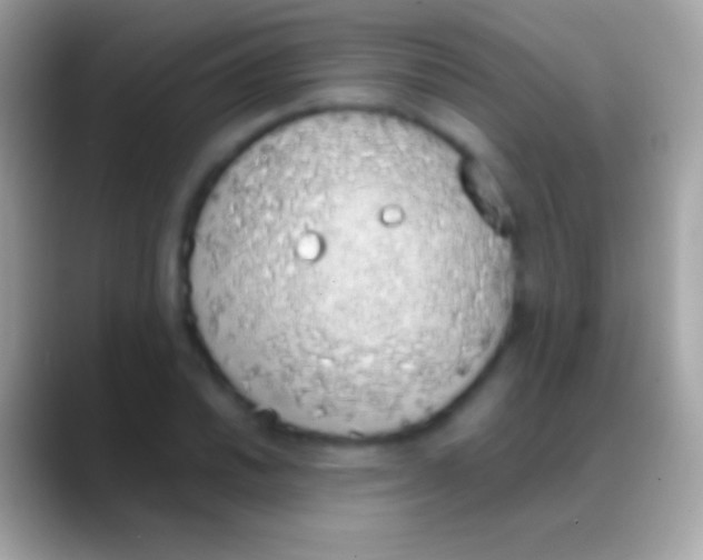 X0000088151030200706041351