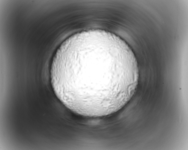 X0000088151031200706041351