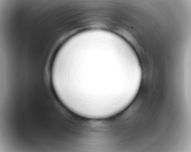 X0000088151032200706041351