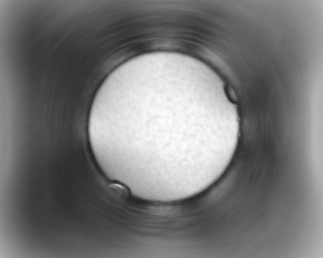 X0000088151033200706041351