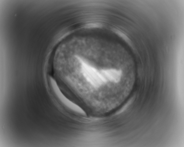 X0000088151034200706041351