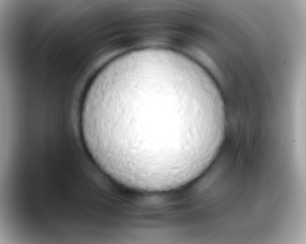 X0000088151035200706041351