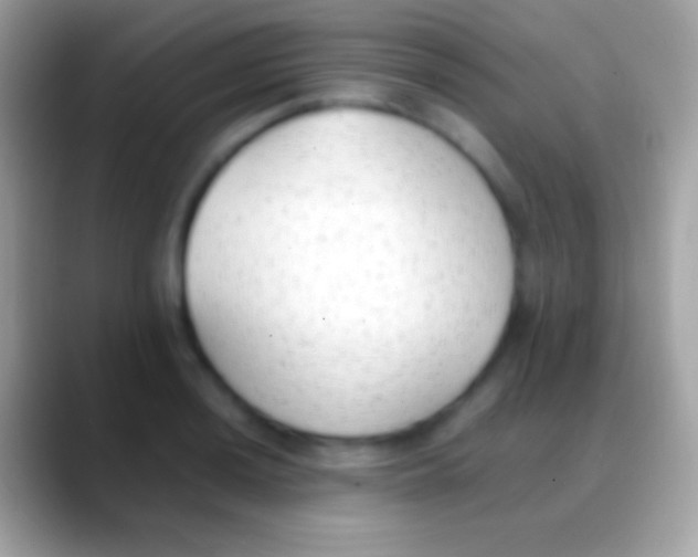 X0000088151036200706041351