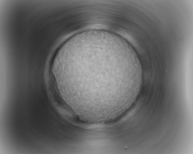 X0000088151038200706041351