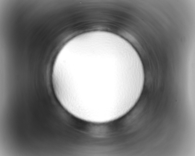 X0000088151039200706041351