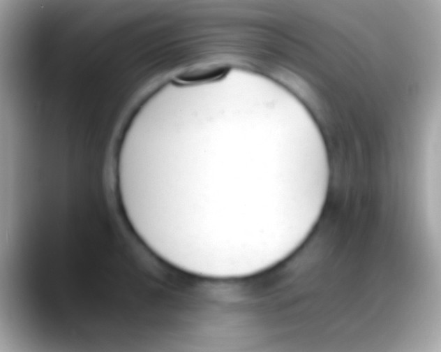 X0000088151040200706041351