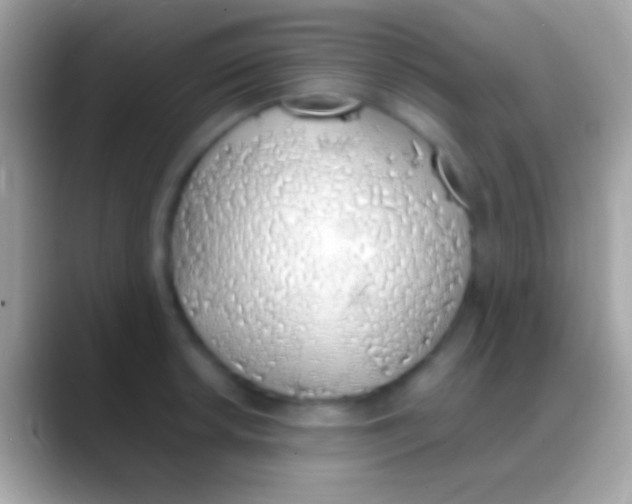 X0000088151042200706041351