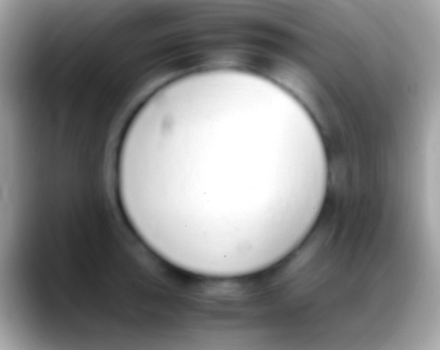 X0000088151043200706041351