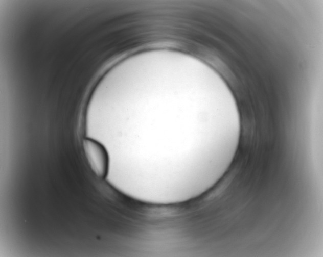 X0000088151044200706041351