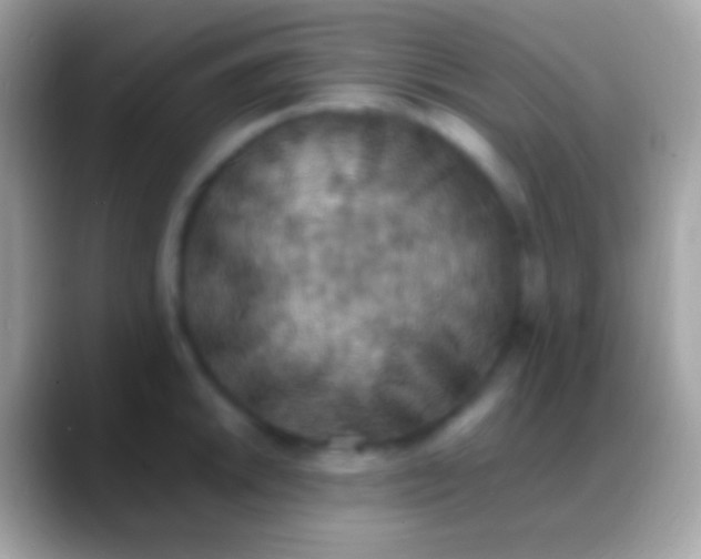 X0000088151046200706041351