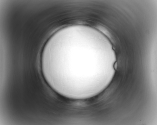 X0000088151047200706041351