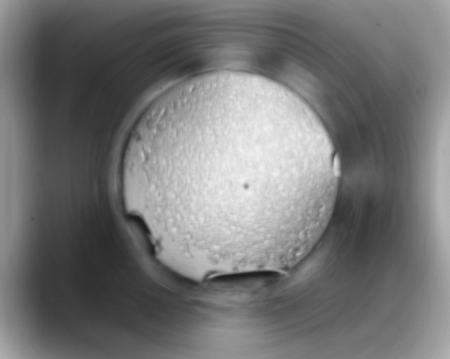 X0000088151050200706041351