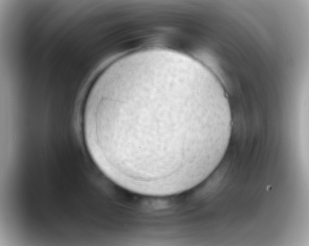 X0000088151051200706041351