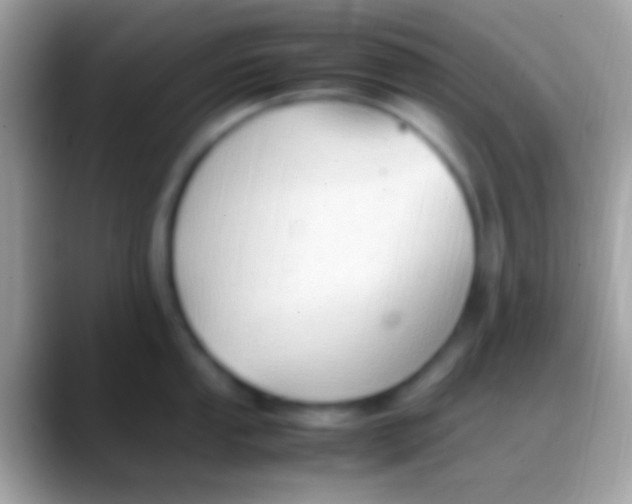 X0000088151053200706041351