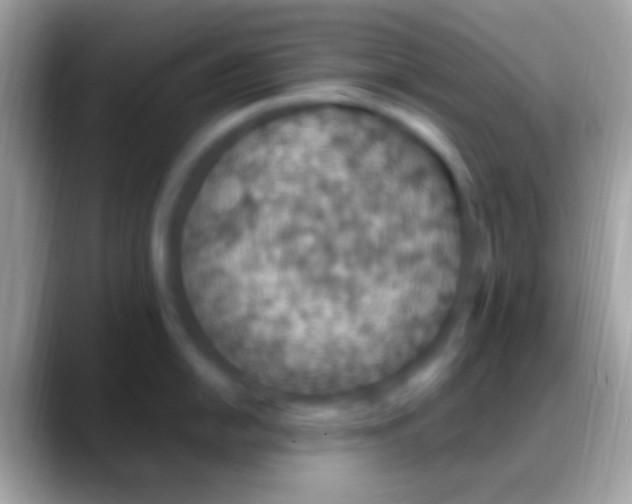 X0000088151054200706041351