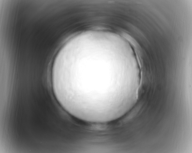 X0000088151055200706041351