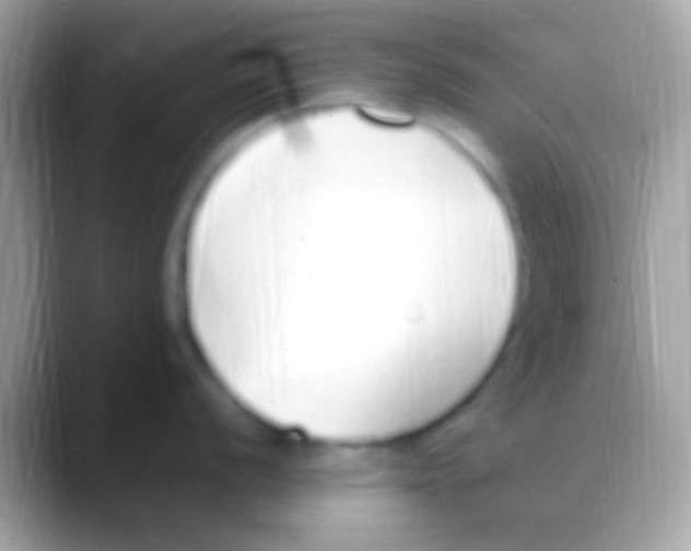 X0000088151056200706041351