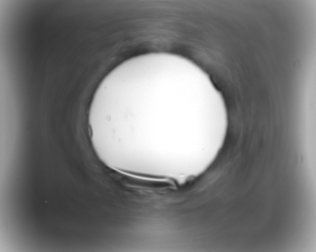 X0000088151057200706041351