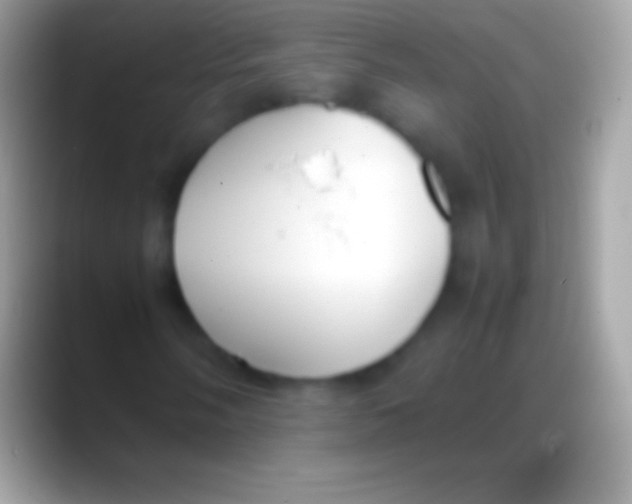 X0000088151058200706041351