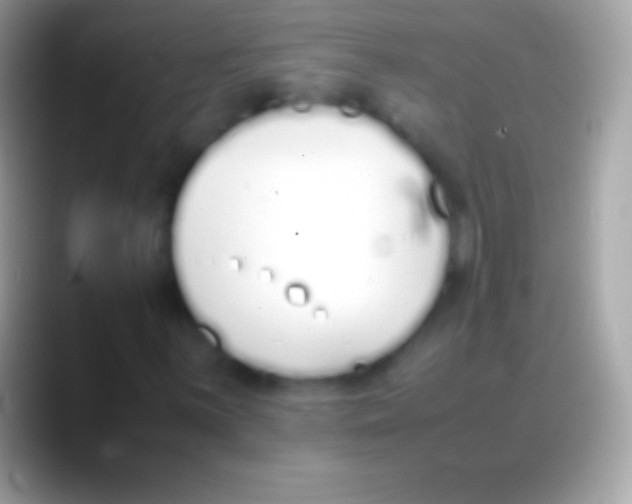 X0000088151059200706041351