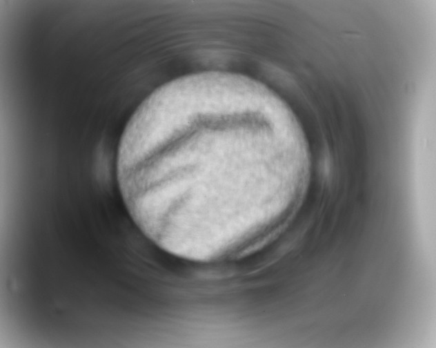 X0000088151060200706041351