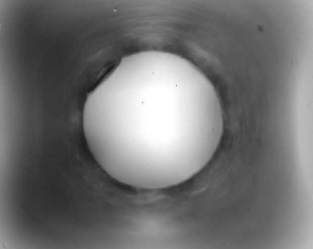 X0000088151061200706041351