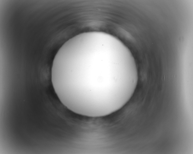 X0000088151062200706041351