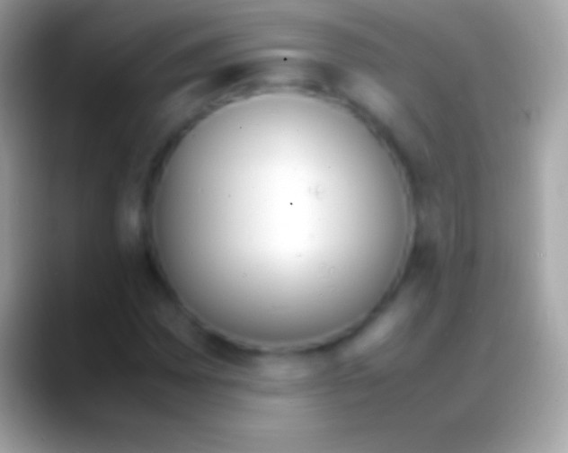 X0000088151065200706041351