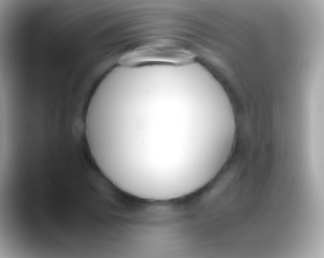 X0000088151073200706041351