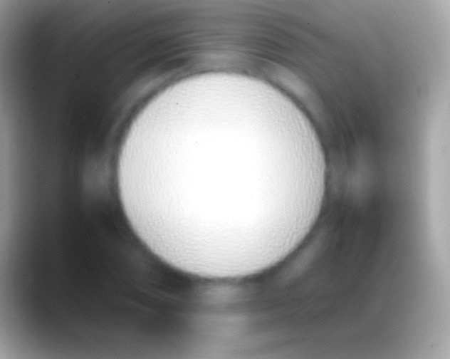 X0000088151074200706041351