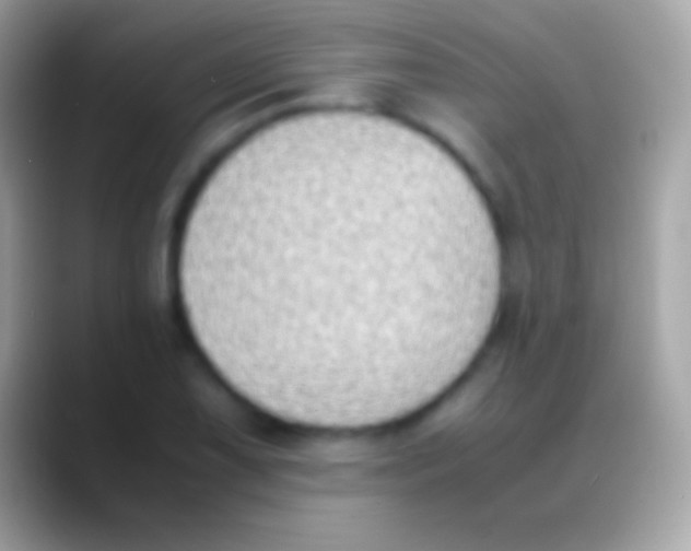 X0000088151075200706041351