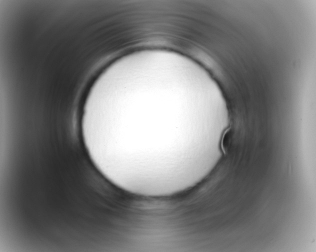 X0000088151076200706041351