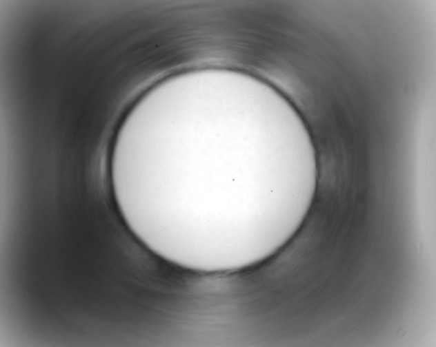 X0000088151078200706041350