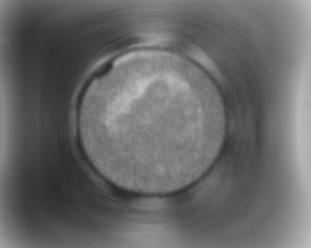 X0000088151079200706041350