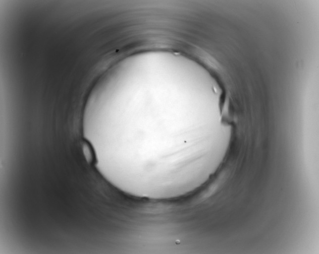 X0000088151081200706041350