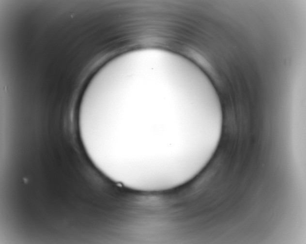 X0000088151082200706041350