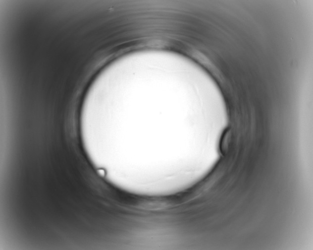 X0000088151083200706041350