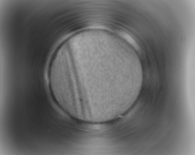 X0000088151084200706041350