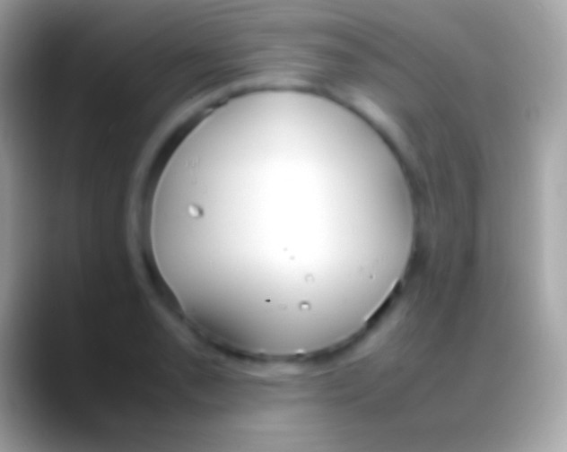 X0000088151085200706041350