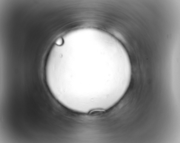 X0000088151087200706041350