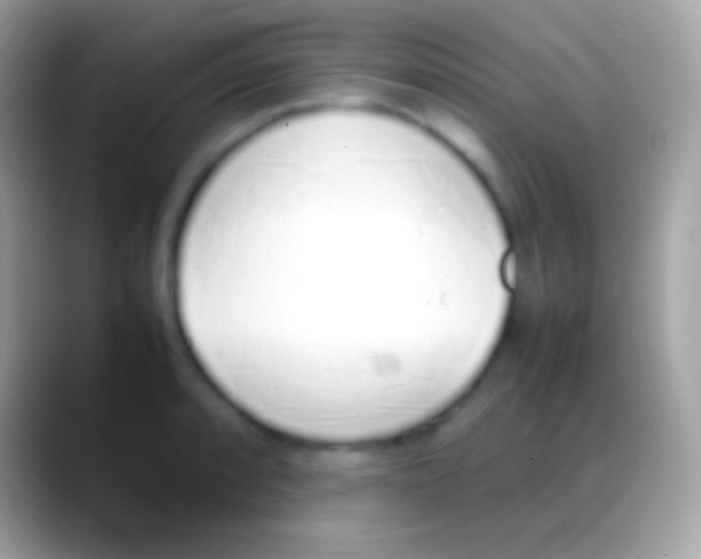 X0000088151088200706041350