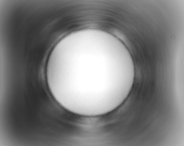 X0000088151090200706041350