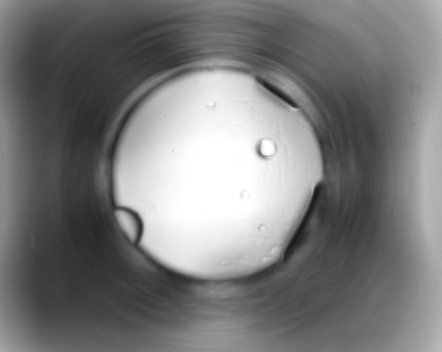 X0000088151092200706041350