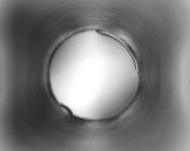 X0000088151093200706041350